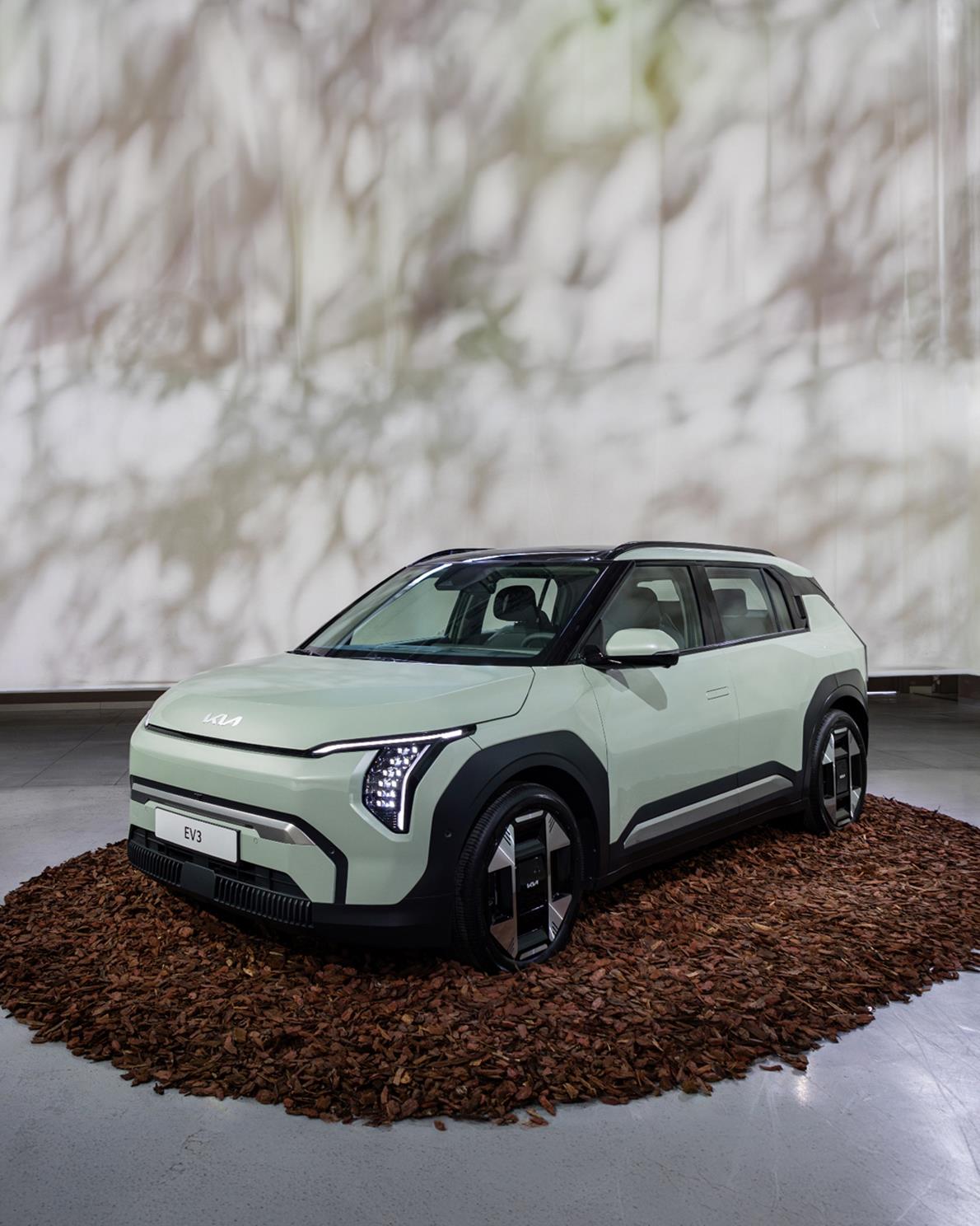 KIA EV3
