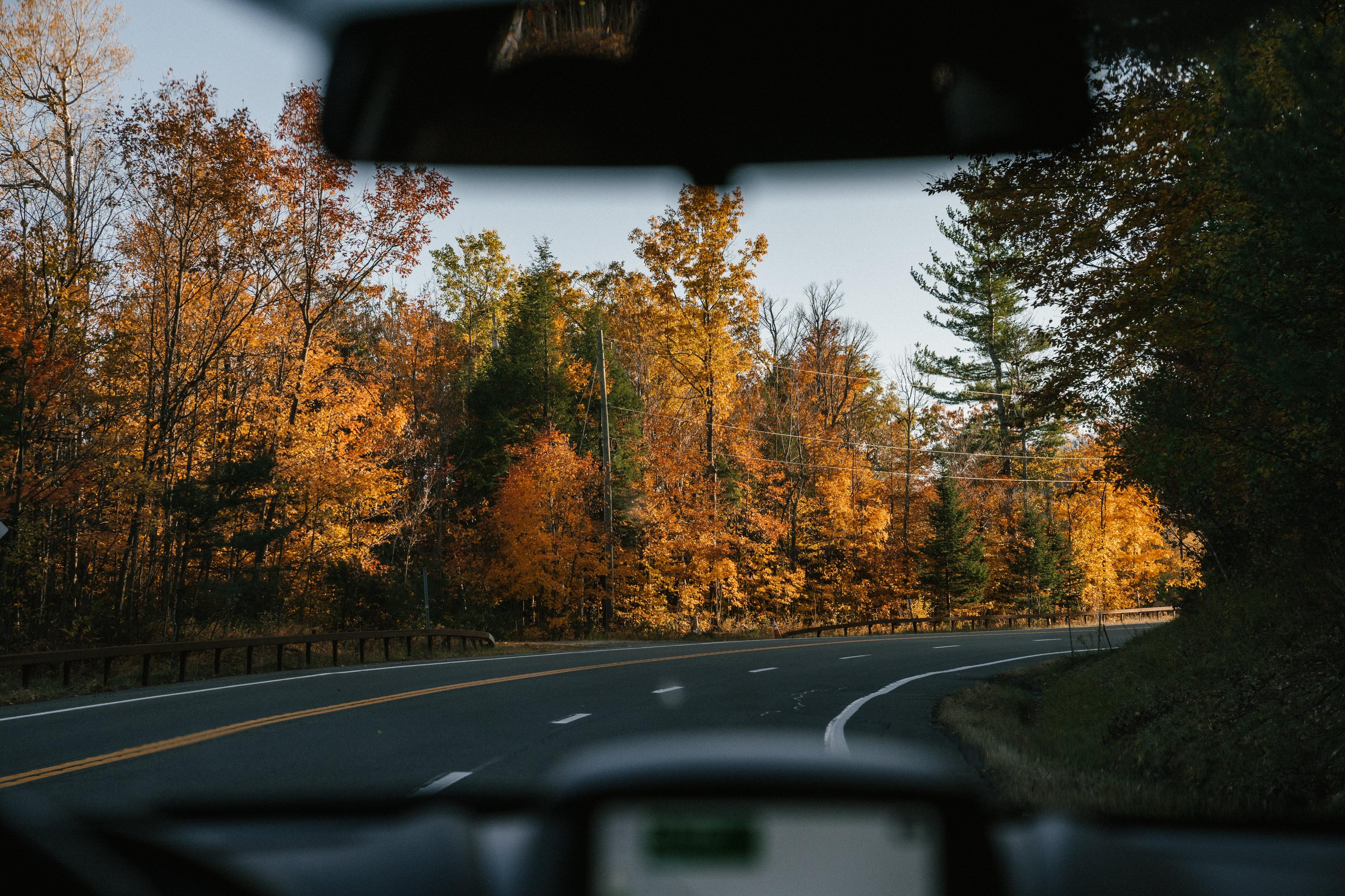 Dashboard view of a calm country road.