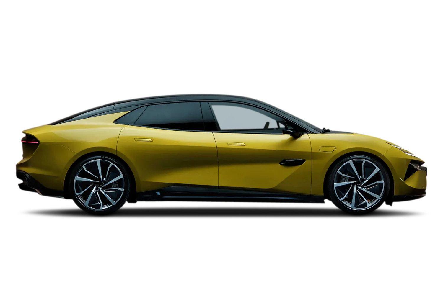 Lotus Emeya